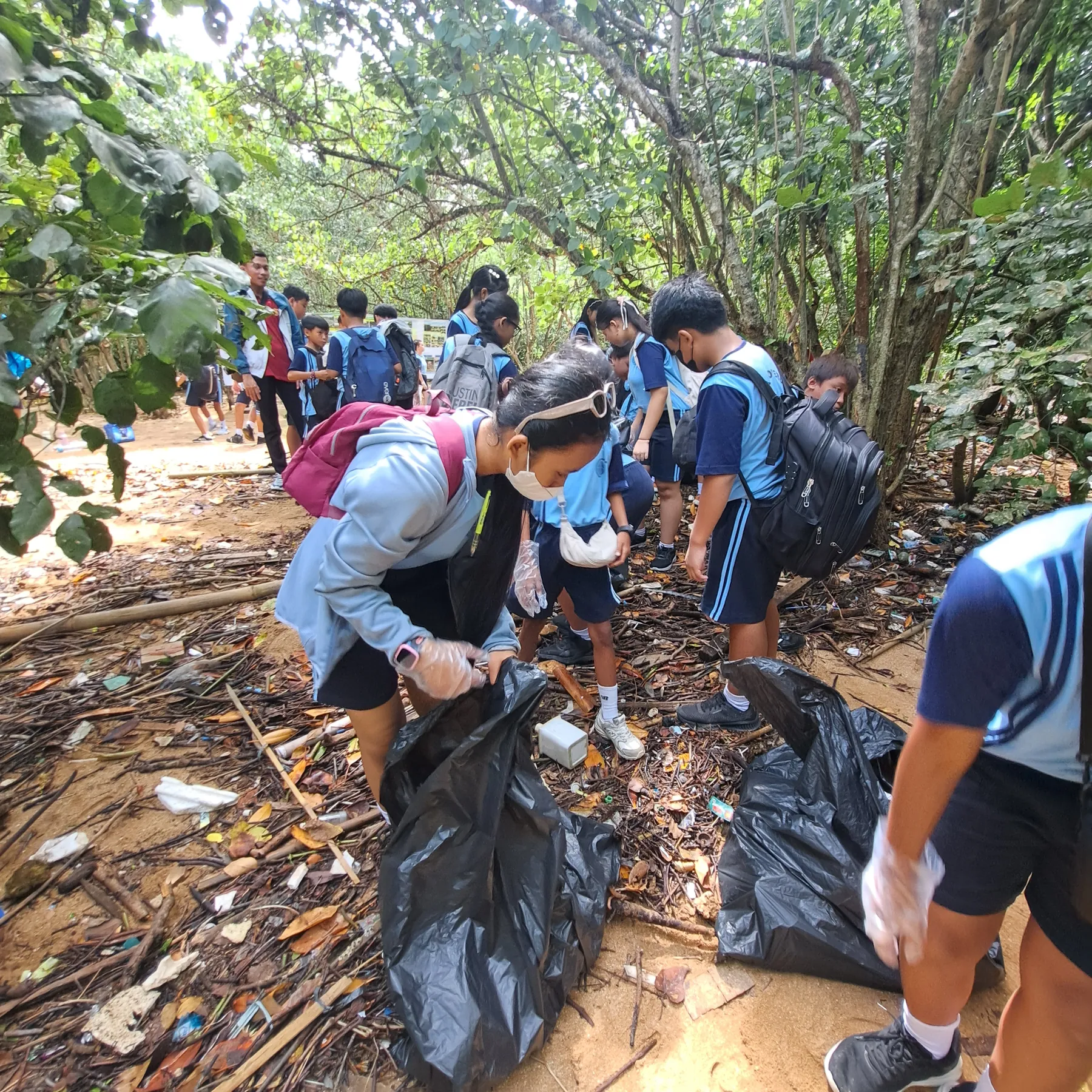 Edukasi Lingkungan Mangrove bersama SDK Soverdi