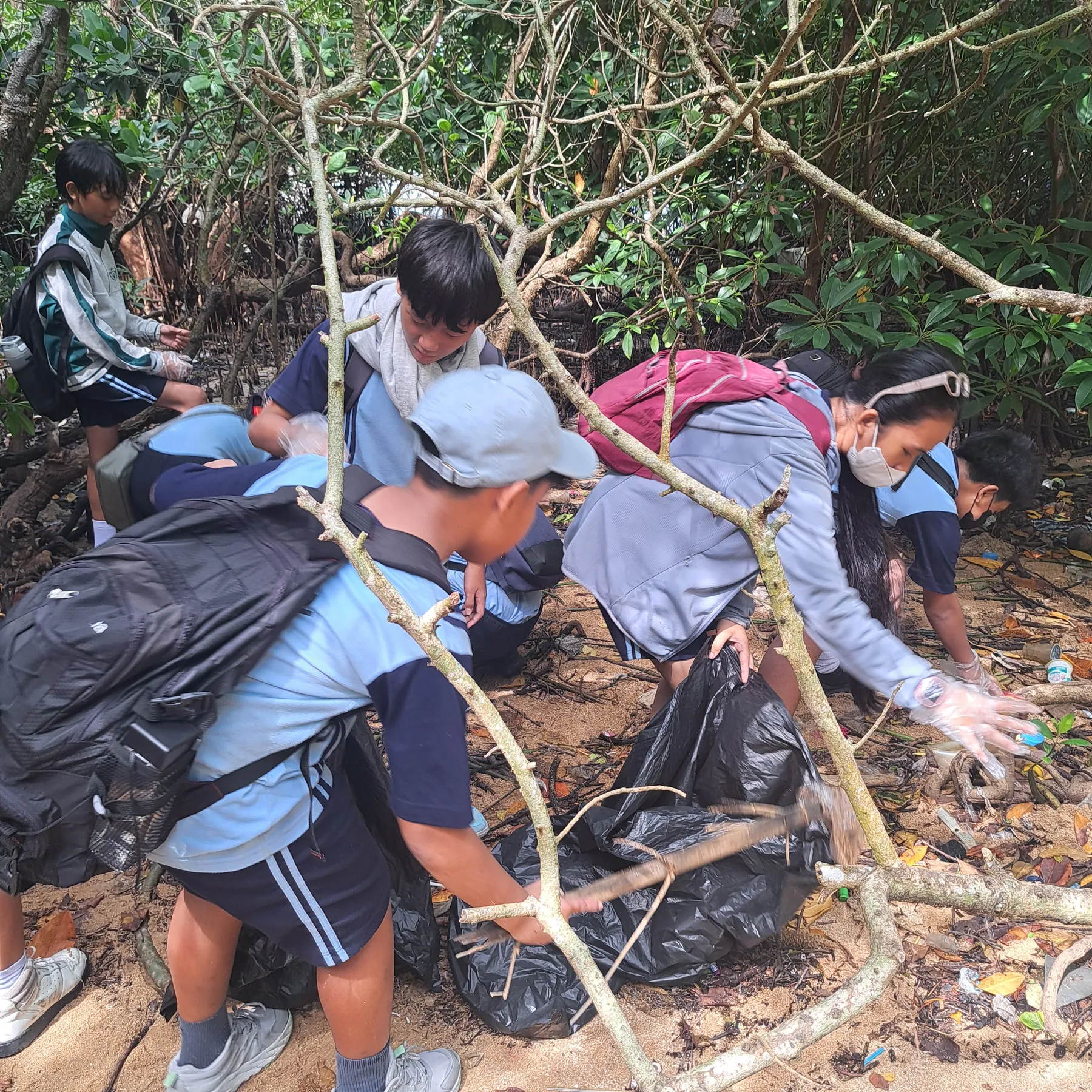 Edukasi Lingkungan Mangrove bersama SDK Soverdi