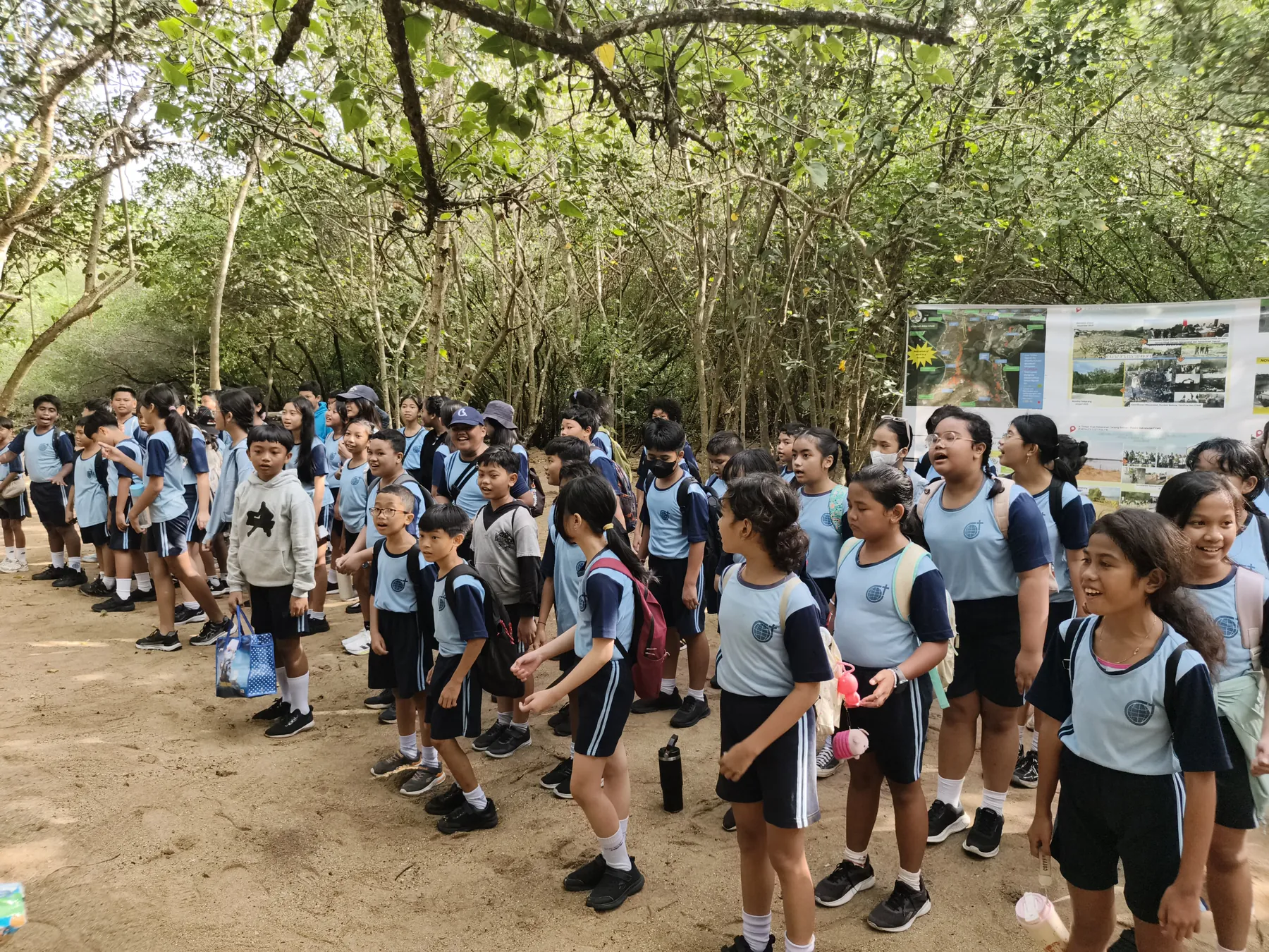 Edukasi Lingkungan Mangrove bersama SDK Soverdi