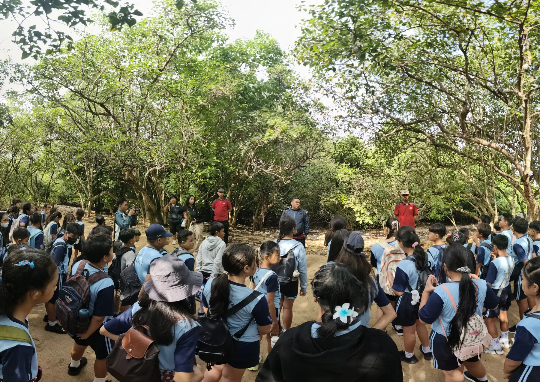 Edukasi Lingkungan Mangrove bersama SDK Soverdi