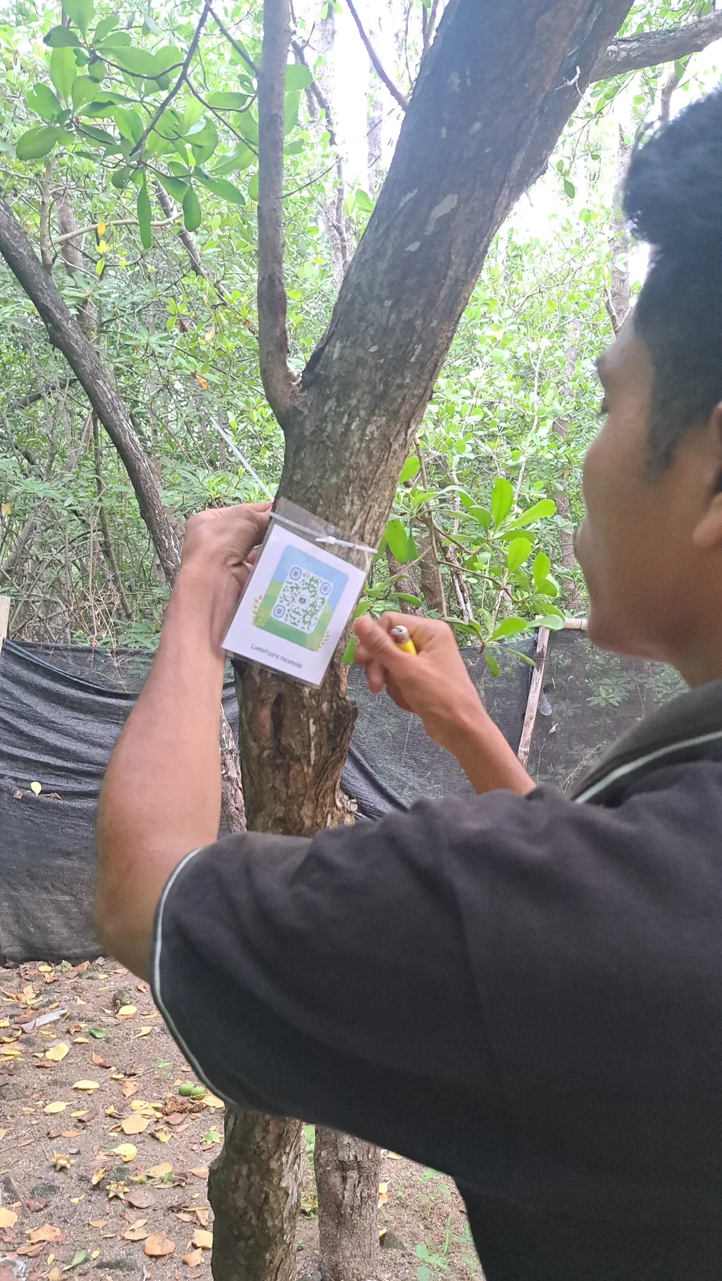 Pengenalan Jenis Mangrove dengan QR Code