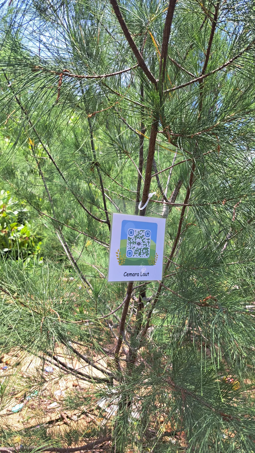 Pengenalan Jenis Mangrove dengan QR Code